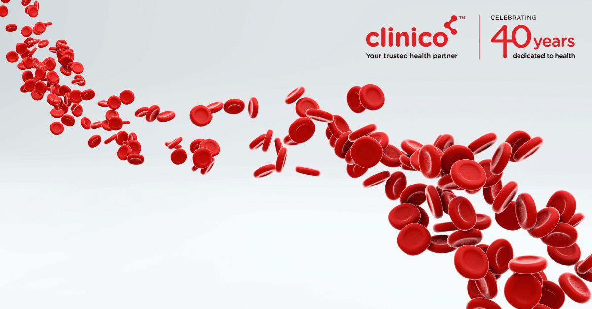 Why do platelets decrease in Dengue?